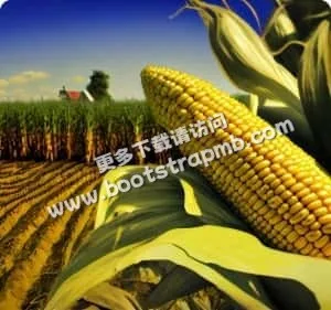 全天候在线，精彩永不落幕 - 咪咕视频