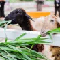 探索足球的无限魅力 - 咪咕视频